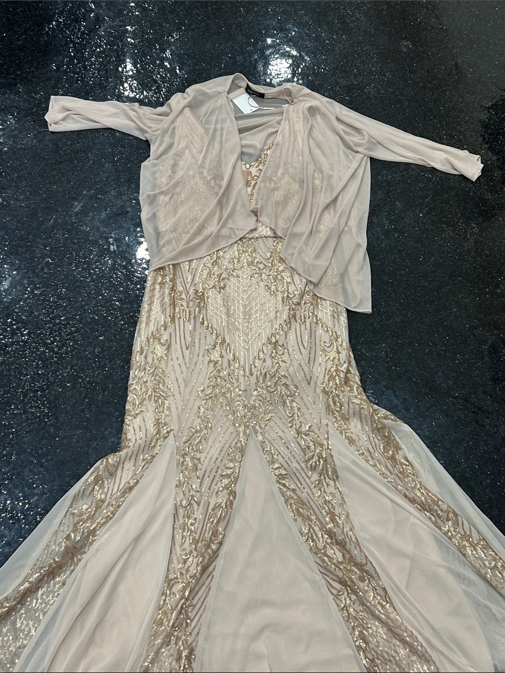 R&M Richards Aurora Dreamscape Evening Gown Ivory & Gold Hand-Beaded W/ Cover 14 - Picture 4 of 11